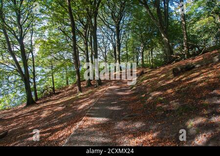 Intorno al Regno Unito - sentiero e viste intorno Anglezarke Reservoir, vicino Belmont Foto Stock