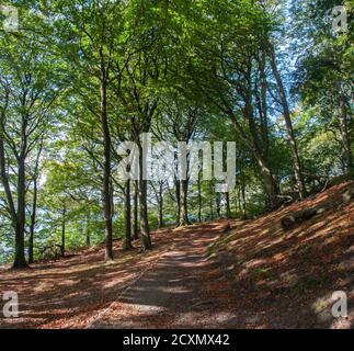 Intorno al Regno Unito - sentiero e viste intorno Anglezarke Reservoir, vicino Belmont Foto Stock