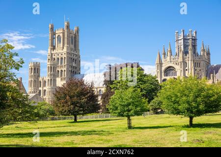 Ely uk Ely o Cattedrale Chiesa del Santo E la Trinità indivisa da Ely Park Ely Anglican cattedrale Ely Cambridgeshire Inghilterra UK GB Foto Stock