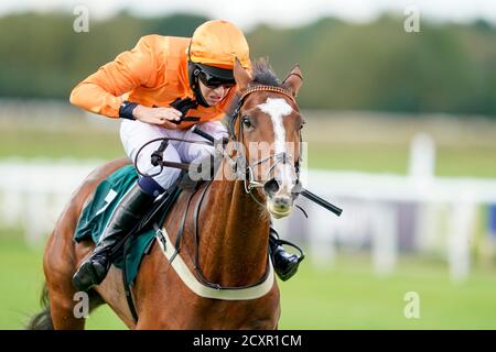 Chester Williams guida Galice Macalo chiaro l'ultimo a vincere la scommessa a Racingtv.com Mares 'National Hunt' Novices 'ostacoli al Warwick Racecourse, Warwick. Foto Stock