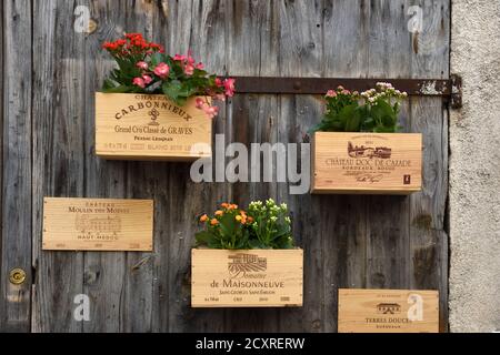 Vecchie scatole di vino o casse di vino riutilizzate come piantatrici a parete o pentole di piante, vasi di fiori o scatole di finestre Foto Stock