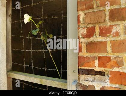 Sztutowo, Polonia. 1 ottobre 2020. Una vista dell'ex campo di sterminio tedesco Stutthof: Rose, crematorio. Il Museo Stutthof di Sztutowo. Konzentrationslager Stutthof - ex campo di concentramento nazista tedesco istituito nelle aree annesse della Città libera di Danzica, a 36 km da Danzica. Ha funzionato durante la seconda guerra mondiale, dal 2 settembre 1939 al 9 maggio 1945. Credit: Damian Klamka/ZUMA Wire/Alamy Live News Foto Stock