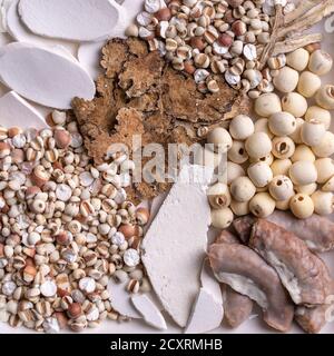 Ingredienti di quattro zuppa di Tonica, quattro zuppa di sapore di erbe. Cibo tradizionale taiwanese con lacrime di Giobbe, erbe, intestini di maiale. Foto Stock