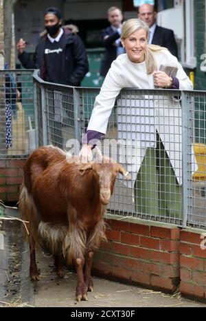 La Contessa di Wessex con una capra durante una visita alla Vauxhall City Farm a Londra, per vedere il coinvolgimento della comunità agricola e i programmi di istruzione in azione, come la fattoria segna l'inizio del mese della storia Nera. Foto Stock