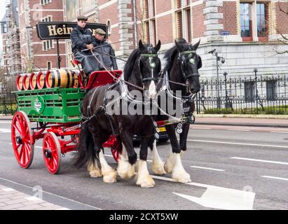 Amsterdam, Olanda - Marzo 24, 2016 - a cavallo il barile di birra il carrello è azionato verso il basso la strada Foto Stock