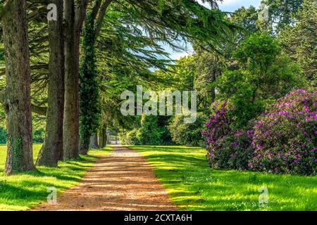 TREDEGAR HOUSE PARK A NEWPORT, GALLES DEL SUD Foto Stock