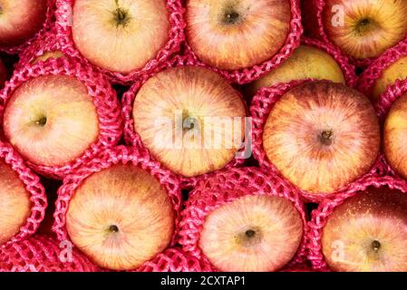 Primo piano di un mucchio di mele di colore giallo e rosso provenienti dalla Cina, confezionate singolarmente in protezioni per reti di plastica, che aggiungono un ambiente di tour dei rifiuti di plastica Foto Stock