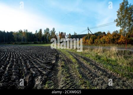 Paesaggio rurale, campo arato in autunno. Finlandia. Foto di alta qualità Foto Stock