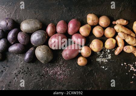 Varietà di materie organiche non cotte patate diversi tipi e colori rosso, giallo e viola con vari di sale più scuro dello sfondo texture. Vista superiore, co Foto Stock