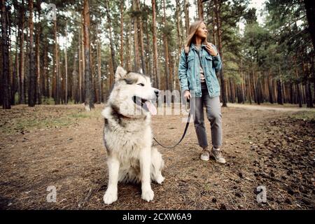 Donna Walking Dog. Giovane ragazza con il suo cane, Alaskan Malamute, all'aperto in autunno. Animali domestici Foto Stock