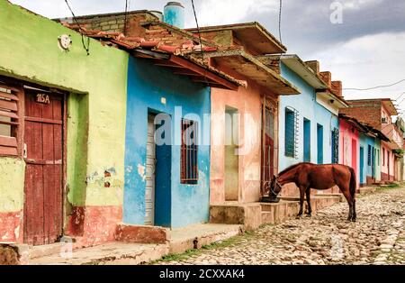 Trinidad, Cuba, Novembre 27, 2017 - Cavallo beve l'acqua dal serbatoio nella parte anteriore della fila di case colorate sulla strada di ciottoli Foto Stock