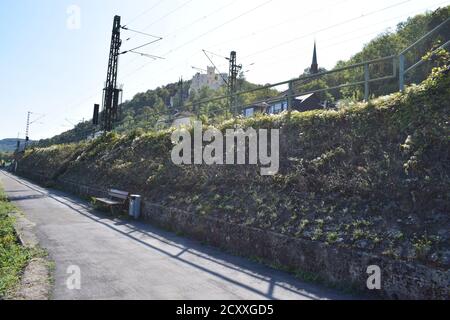 Passerella sul Reno Foto Stock