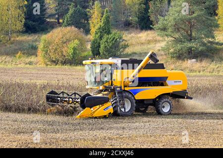 Coltivatore che raccoglie fagioli larghi con la mietitrebbia New Holland CSX7040. Questo raccolto ricco di proteine sarà usato come alimentazione di pesce. Sauvo, Finlandia. 26 settembre 2020. Foto Stock