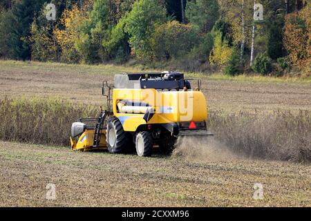 Coltivatore che raccoglie fagioli larghi con la mietitrebbia New Holland CSX7040. Questo raccolto ricco di proteine sarà usato come alimentazione di pesce. Sauvo, Finlandia. 26 settembre 2020. Foto Stock