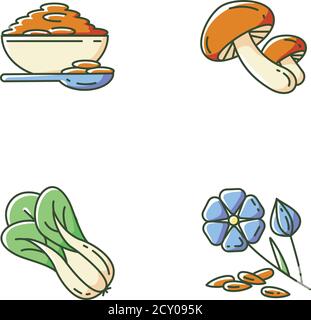 Set di icone di colore RGB a grani sani Illustrazione Vettoriale