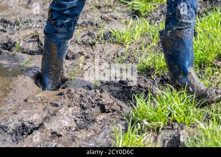 Ragazzo giovane che guidi attraverso l'alta marea con gumboot blu dopo un'alluvione ha rotto la diga di protezione e traboccante il paesi bassi o costa dell'oceano Foto Stock