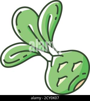 Icona colore RGB kohlrabi Illustrazione Vettoriale