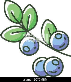 Icona colore RGB mirtilli Illustrazione Vettoriale