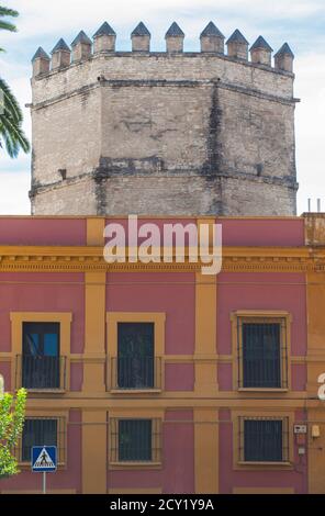 Torre de la Plata, torre militare fatta da Almohad Califate nel 13 ° secolo. Siviglia, Spagna. Vista da via Temprado Foto Stock