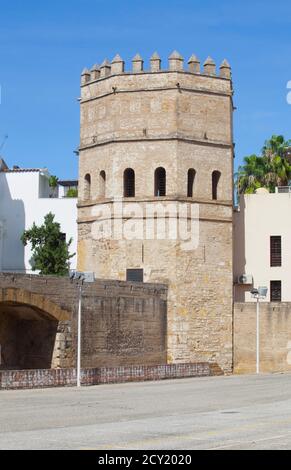 Torre de la Plata, torre militare fatta da Almohad Califate nel 13 ° secolo. Siviglia, Spagna Foto Stock