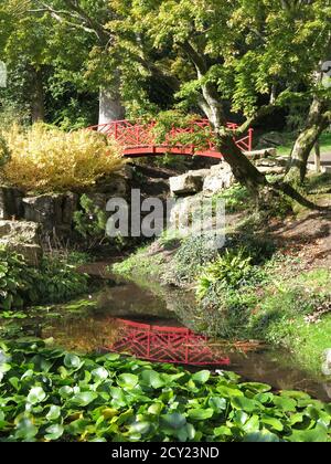 Un ponte rosso in stile giapponese si riflette nella piscina sottostante in questa vista del corso d'acqua che attraversa il paesaggio di Batsford Arboretum Foto Stock