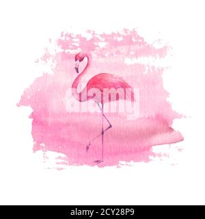 Flamingo su sfondo rosa acquerello disegnato a mano punto. Tropicale esotico uccello rosa fenicottero isolato su sfondo bianco. Illust disegnata a mano con acquerello Foto Stock