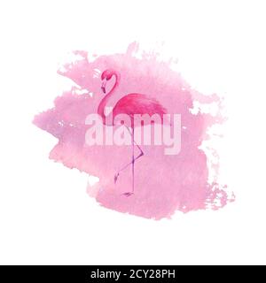 Flamingo su sfondo rosa acquerello disegnato a mano punto. Tropicale esotico uccello rosa fenicottero isolato su sfondo bianco. Illust disegnata a mano con acquerello Foto Stock