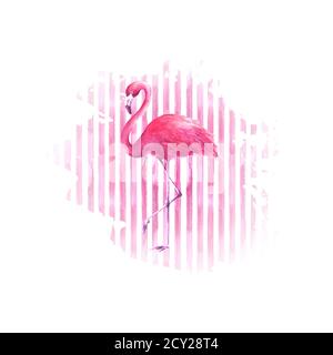 Flamingo su sfondo a righe di colore rosa acquerello disegnato a mano. Tropicale esotico uccello fenicottero rosa isolato su strisce sfondo. Illustrazione disegnata a mano Foto Stock