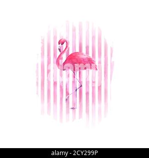 Flamingo su sfondo a righe di colore rosa acquerello disegnato a mano. Tropicale esotico uccello fenicottero rosa isolato su strisce sfondo. Illustrazione disegnata a mano Foto Stock