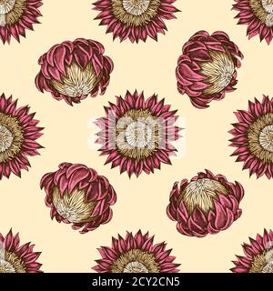 Motivo senza cuciture con protea colorata disegnata a mano Illustrazione Vettoriale