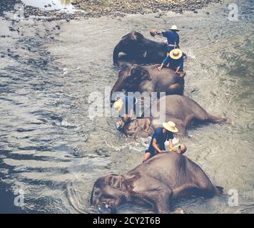 I custodi lavano i loro elefanti rilassanti nel vicino fiume in Thailandia Foto Stock