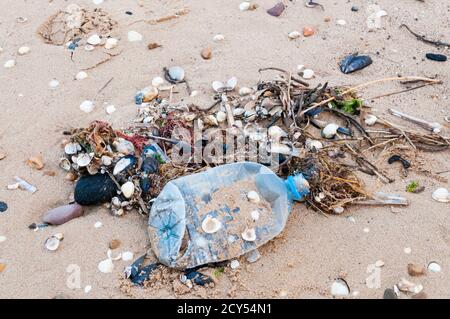 Bottiglia di plastica per bevande lavata sulla tidelina ad alta acqua sulla riva del Wash, Norfolk. Foto Stock