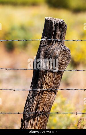 Close-up di filo spinato e recinzione di legno post; Ranch in Colorado centrale; USA Foto Stock