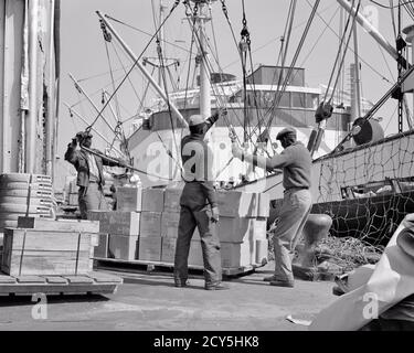 1850S 1960S TRE LAVORATORI DI BANCHINA AFROAMERICANI ANONIMI LONGSHOREMEN CHE CARICANO A. NAVE DA CARICO A NEW ORLEANS LA USA - S11060 HAR001 HARS B&W UOMO DI MEZZA ETÀ CHE CARICA ABILITÀ PROFESSIONE ORLEANS AFROAMERICANI AFRO-AMERICANO CARRIERE POTENTE ETNIA NERA LAVORO OCCUPAZIONE OCCUPAZIONI CONNESSIONE LONGSHOREMEN COOPERATION DEI FREIGHTER DEI DIPENDENTI METÀ-ADULTA METÀ-ADULTA DONNA CHE SPEDISCE L'UOMO GIOVANE ADULTO BIANCO E NERO HAR001 LA LABORING VECCHIO STILE VASCELLO AFRICANO AMERICANI Foto Stock