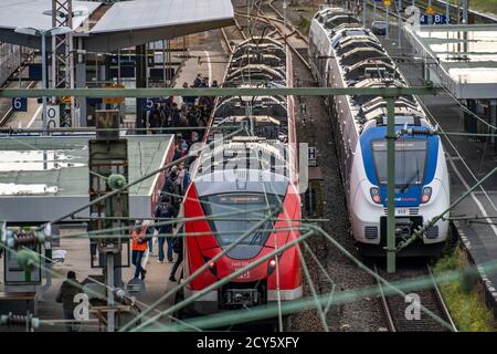 Stazione S-Bahn Wuppertal-Elberfeld, piattaforme, treno locale, Wuppertal, NRW, Germania Foto Stock