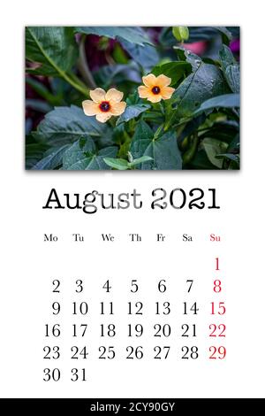 Agosto 2021 Calendario Office isolato su bianco Foto stock - Alamy