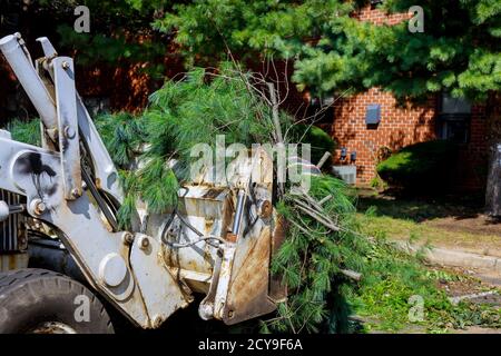 Cumulo di rami di alberi nella strada della città rimozione di diramazione nella benna del trattore. Foto Stock