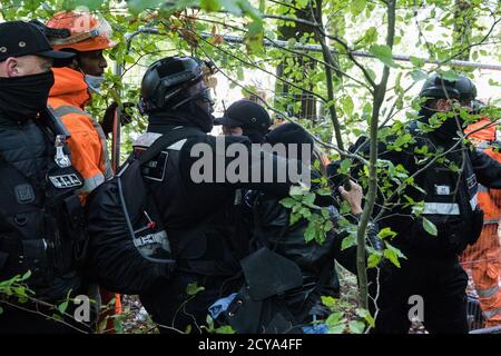 Aylesbury vale, Regno Unito. 1 ottobre 2020. I Bailiffs della squadra nazionale di viction che lavorano per conto di HS2 Ltd maneggiano un attivista femminile anti-HS2 durante gli sfratti da un campo di protezione della fauna selvatica nell'antico bosco che ha ispirato Roald DahlÕs fantastico il sig. Fox a JonesÕ Hill Wood. Circa 40 attivisti ambientali e residenti locali, alcuni dei quali vivono in case di alberi di fortuna a 60 metri sopra il suolo, Erano presenti durante gli sfratti a JonesÕ Hill Wood che aveva servito come uno dei numerosi campi di protesta allestiti lungo il percorso del £106bn HS2 ad alta velocità collegamento ferroviario per resistere al controverso Foto Stock