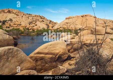 Acqua nel deserto. Il serbatoio sopra la diga di Barker nel Joshua Tree National Park, California Foto Stock