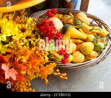 Grande cesto pieno di Gourds e decorazioni autunnali Foto Stock