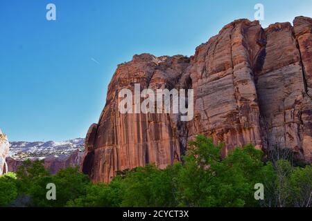 Lower Calf Creek Falls si affaccia dal sentiero escursionistico Grand Monumento nazionale Staircase-Escalante tra Boulder e Escalante, all'uscita dell'autostrada 12 A Souther Foto Stock