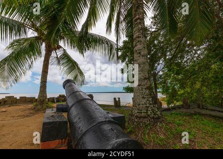 Cannone olandese sulla riva di Nieuw Amsterdam, distretto di Commewijne in Suriname Foto Stock