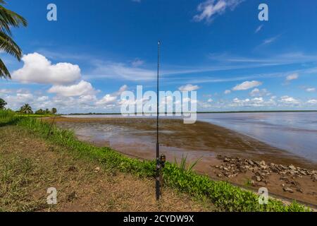 Due poli di pesca inseriti nel terreno sul Suriname River Bank Foto Stock