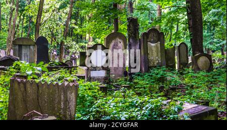 Il Cimitero Ebraico di Varsavia, Polonia Foto Stock