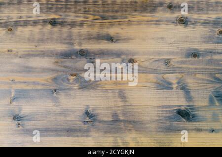 Struttura di una superficie di legno con anelli e ramoscelli annuali. Foto Stock