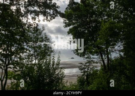 La vista dall'interno degli alberi al Priory Bay Hotel su Priory Beach fuori nel canale inglese sull'Isola di Wight. 22 agosto 2016. Foto: Nei Foto Stock