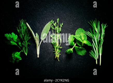 Ciuffi di rosmarino fresco, timo, salvia, menta, prezzemolo, aneto, menta piperita su sfondo scuro, vista dall'alto Foto Stock