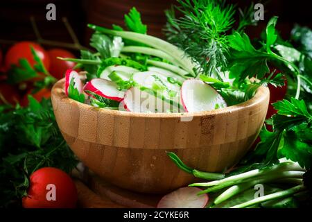 Insalata di primavera con cetriolo fresco, ravanelli, erbe, aglio in ciotola su un vecchio tavolo di legno, fuoco selettivo Foto Stock