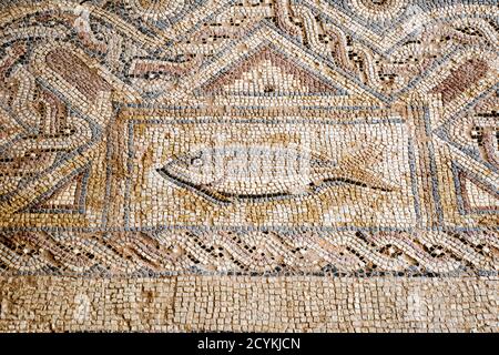 Piastrelle per pavimento in Kourion, Cipro sono stati recentemente restaurati Foto Stock