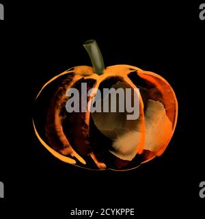 Immagine acquerello di una zucca arancione su un nero Foto Stock